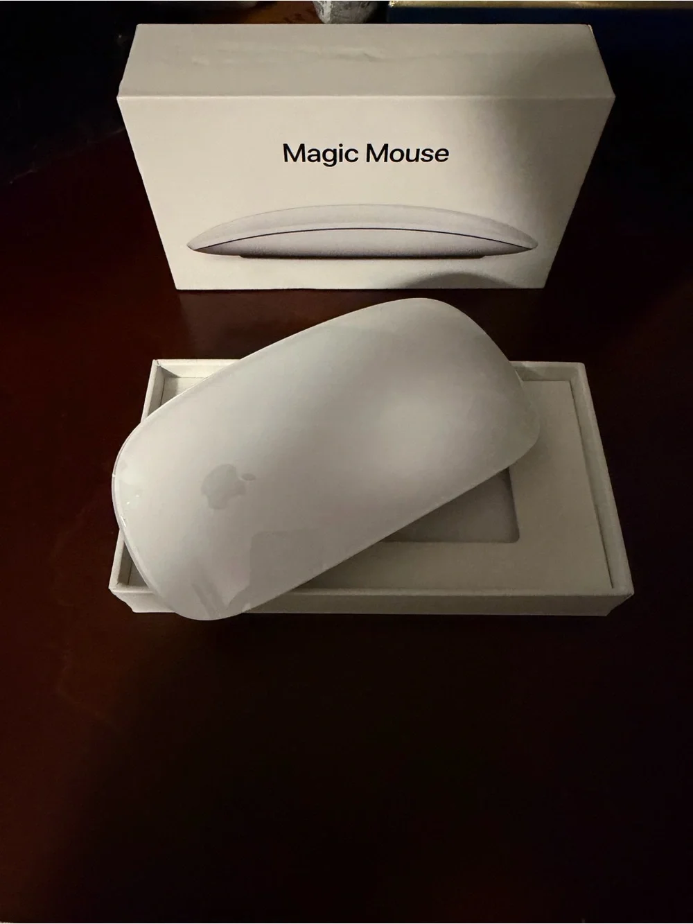 Apple Magic Mouse in Silver and Black Accents
